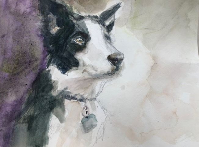 This participant artwork is a watercolor portrait of a black and white dog.